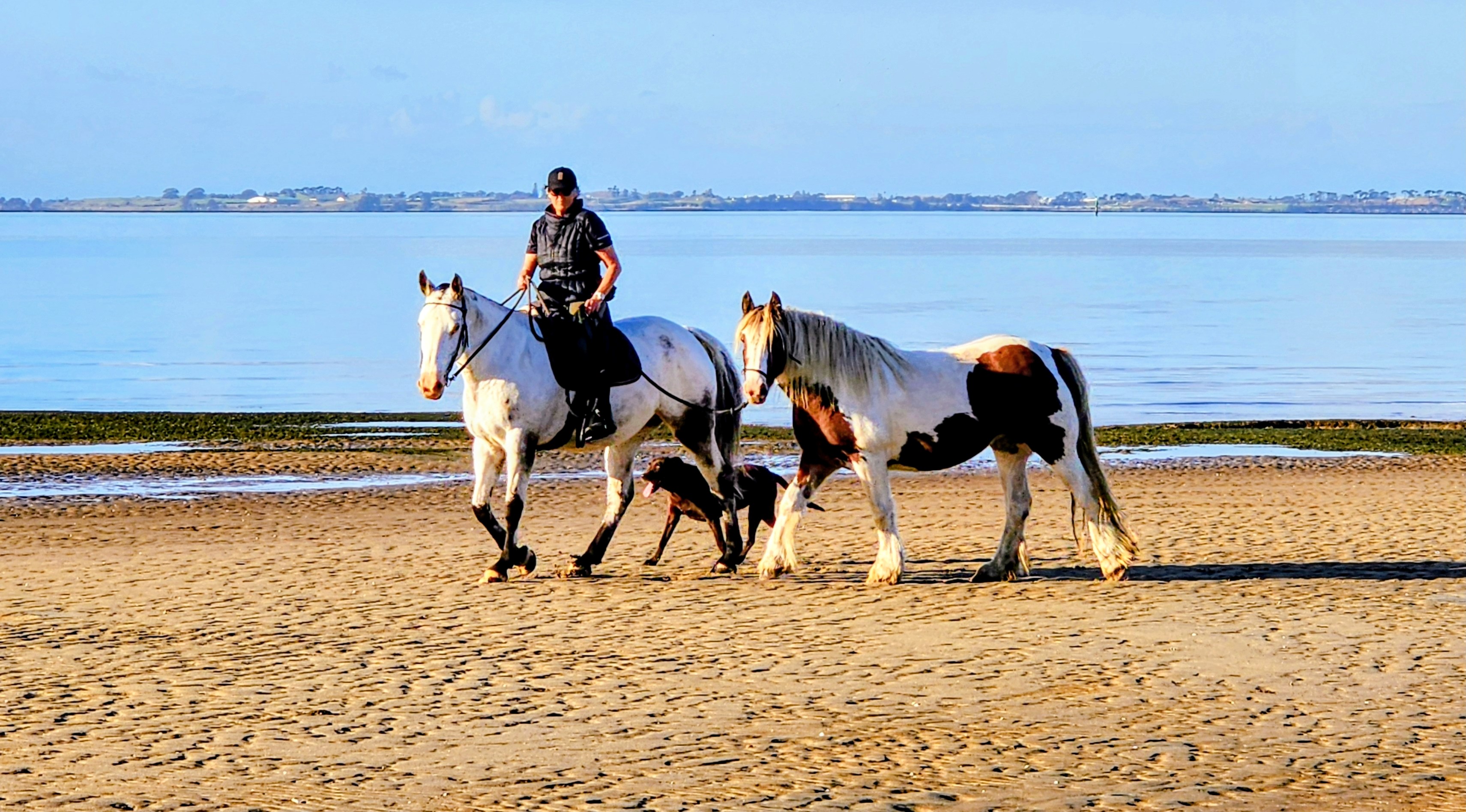 Marly on the peninsula