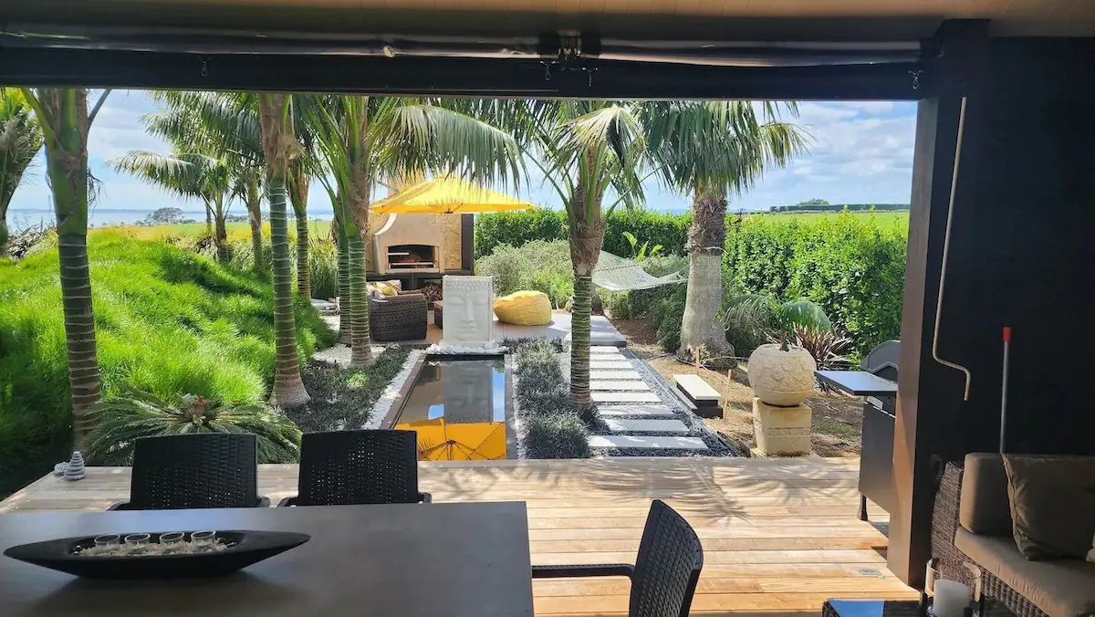 Backyard garden and palm trees