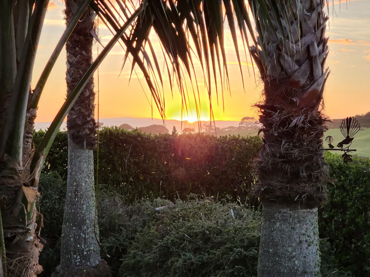 Sunset over Manukau Harbour